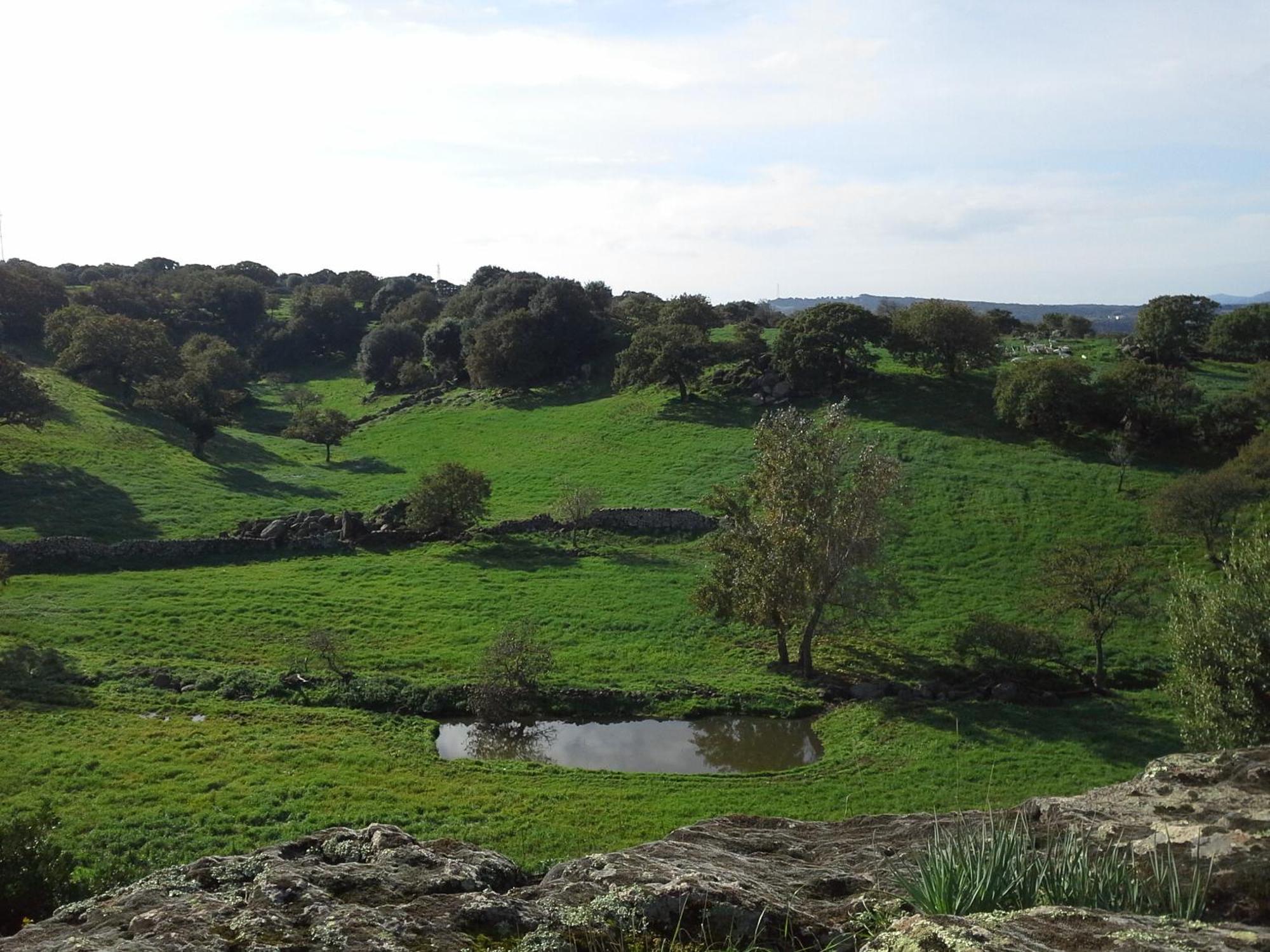 Agriturismo Pentuma Chiaramonti Eksteriør billede