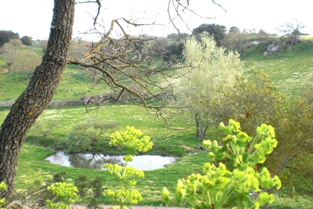 Agriturismo Pentuma Chiaramonti Eksteriør billede