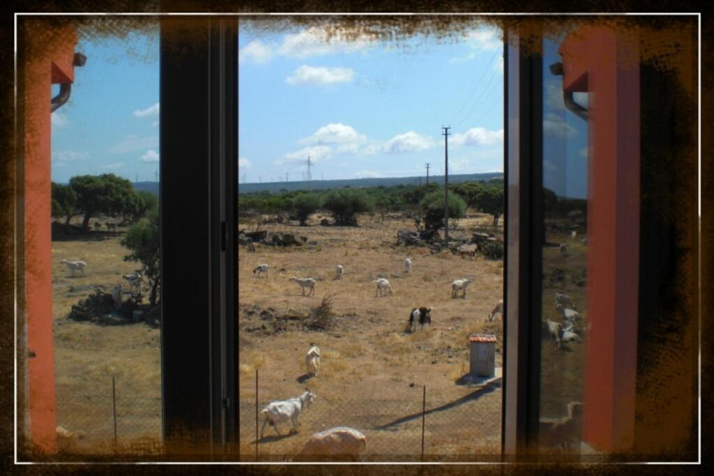 Agriturismo Pentuma Chiaramonti Værelse billede