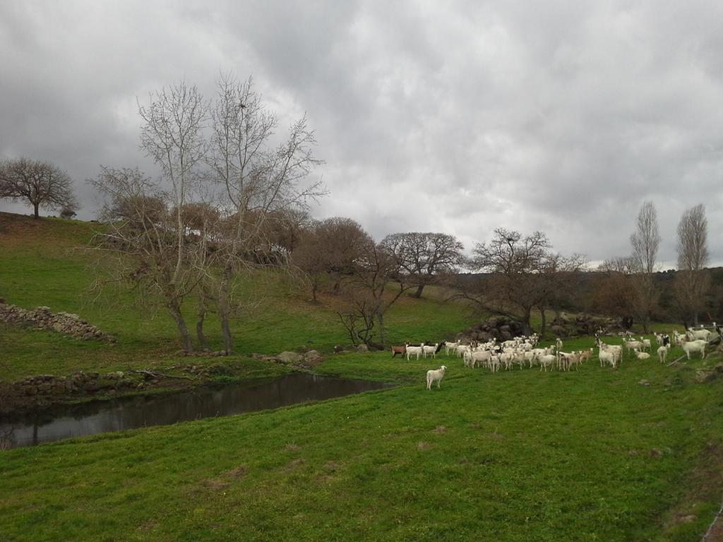 Agriturismo Pentuma Chiaramonti Eksteriør billede