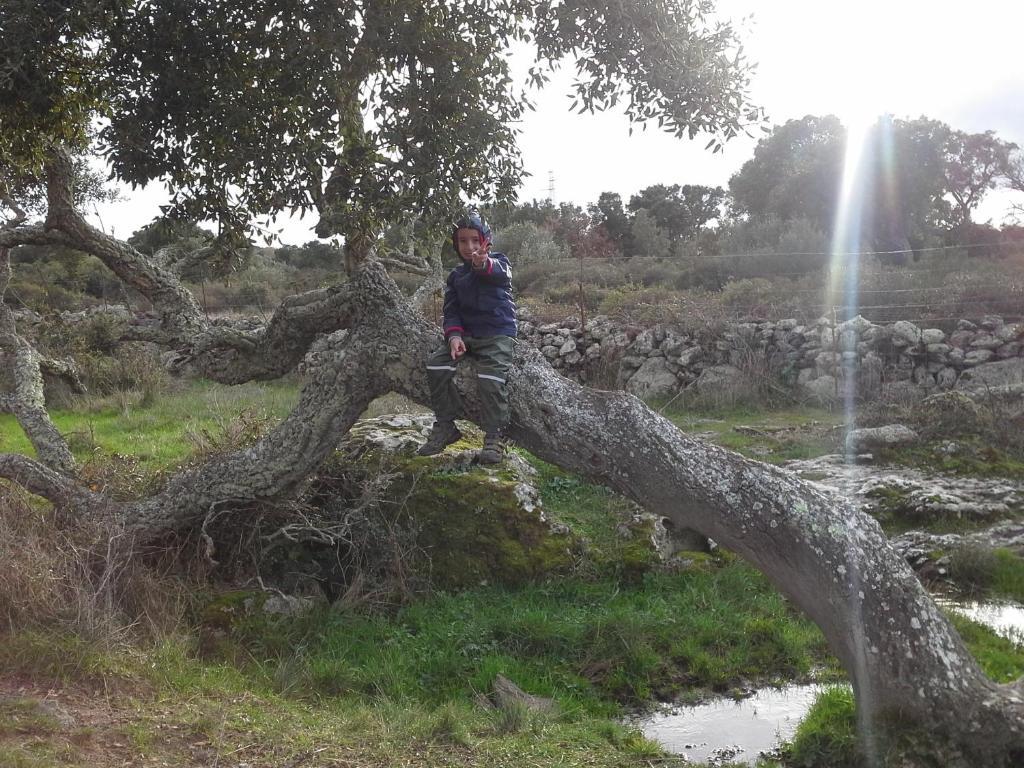 Agriturismo Pentuma Chiaramonti Eksteriør billede