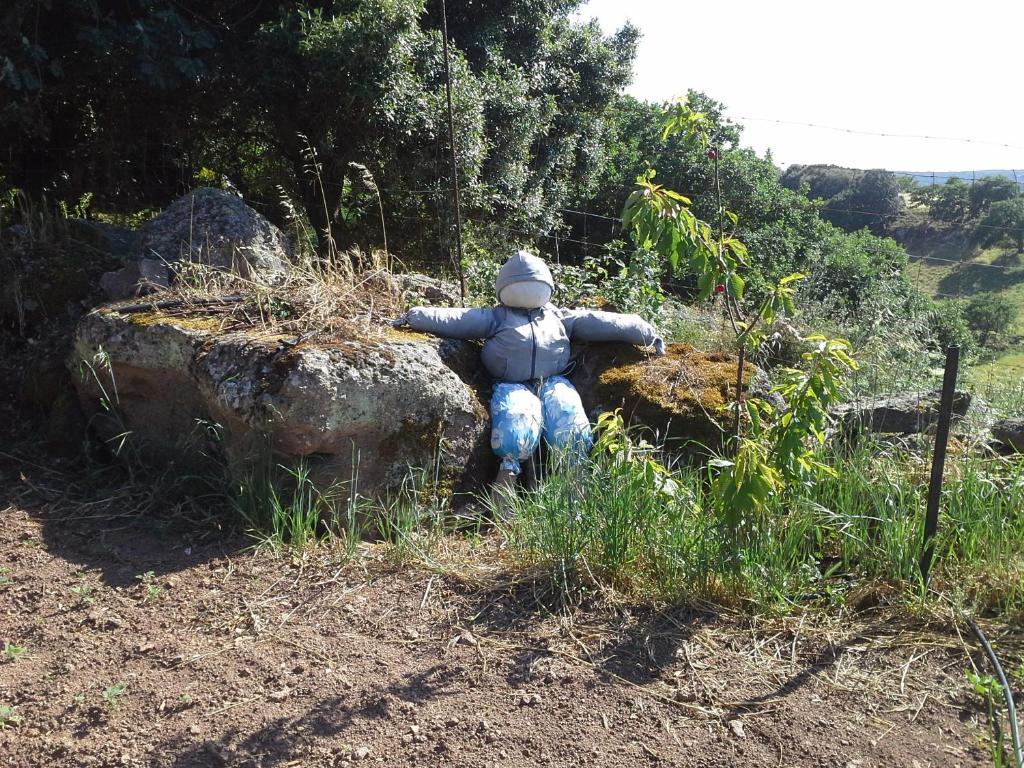 Agriturismo Pentuma Chiaramonti Eksteriør billede